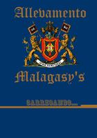 Allevamento Malagasy's постер