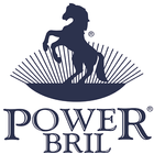 POWER BRIL AUTOMOTIVA icon