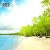 Seaside HD wallpapers APK