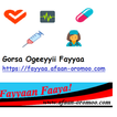 Gorsa Ogeeyyii Fayyaa - Health Tips