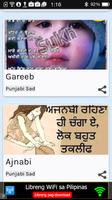 Punjabi Dharti poster