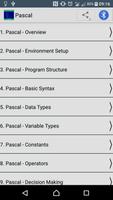 Learn Pascal Programming plakat