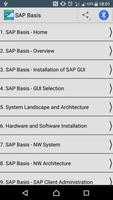 پوستر SAP Basis