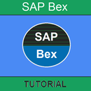 Guide to SAP BEx aplikacja