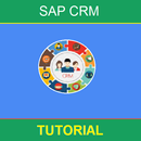 SAP CRM Tutorial APK