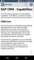 SAP CRM Tutorial imagem de tela 2