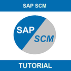 Learn SAP SCM icône