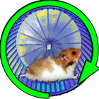 Hamster In a Wheel Desert icône