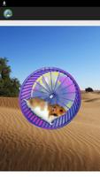 Hamster In a Wheel Desert Affiche