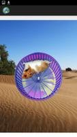Hamster In a Wheel Desert capture d'écran 2