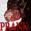 Very Angry Dog APK