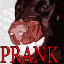 Very Angry Dog APK