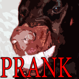 Very Angry Dog
