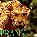 Prank Rabid Jaguar APK