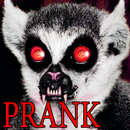 Prank Lemur From Hell APK