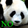 Panda Do Not Smoke