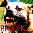 wściekły pies pitbull ikona