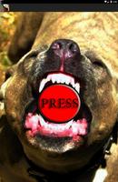 pitbull cão com raiva imagem de tela 3