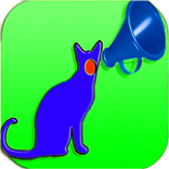 ”Prank Crazy Cat Screech