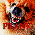 Prank Angry Dog icône