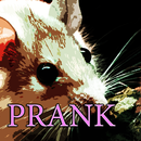 Mouse in the Cupboard Prank APK