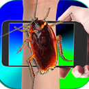 Cockroach On Hand Mega Prank APK