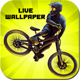 Bike Mayhem Live Wallpaper icône