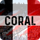 Coral Notícias do Santa Cruz أيقونة