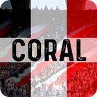 Coral Notícias do Santa Cruz simgesi