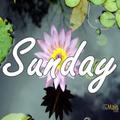 Sunday