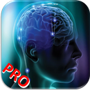 Puzzle My Mind Pro APK