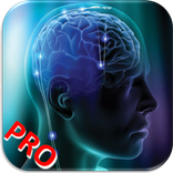Puzzle My Mind Pro