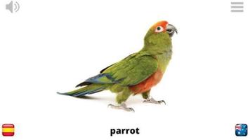 Lyrebird: Learn ANIMALS screenshot 1
