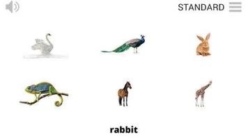 Lyrebird: Learn ANIMALS syot layar 2