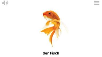 Lyrebird: 玩与学 德语 海报