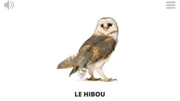 Lyrebird: Learn FRENCH imagem de tela 1