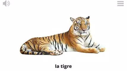 Lyrebird: Learn ITALIAN APK download