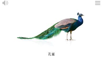 Play & Learn CHINESE TAIWAN bài đăng