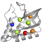 BIOCHIMIE : CONVERTISSEUR icône