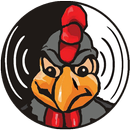 Galo Doido MP3 Player APK