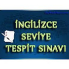 EfeSA İngilizce Seviye Tespit icon