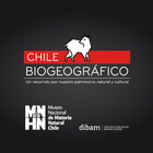 MNHN Chile Zeichen