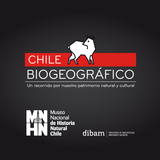 MNHN Chile 图标