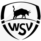 WSV icône