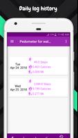 Pedometer App ảnh chụp màn hình 1