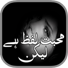Muhabat Lafz Hai Lekin Novel-icoon