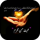 Mohabbat Man Mehram APK