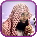 الشيخ خالد الراشد بدون انترنت APK