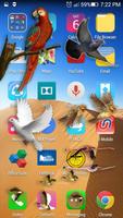 Bird Flying in Phone Prank screenshot 3