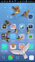 Bird Flying in Phone Prank 截图 1